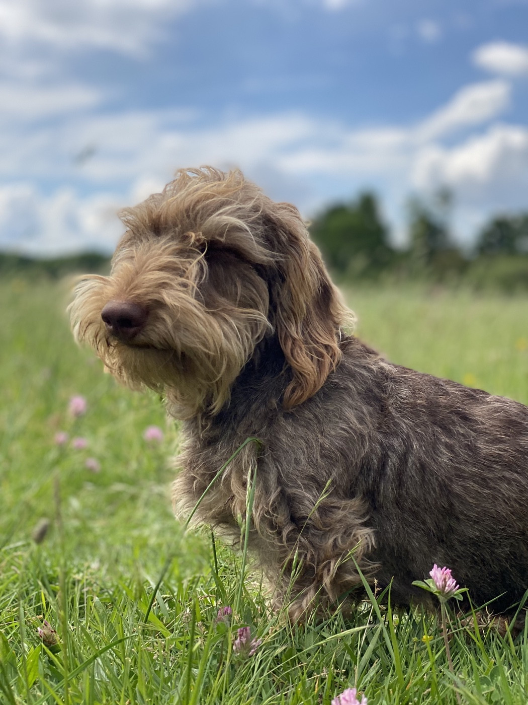 Vicky Des Croquignolets
